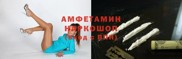 амф Алексин