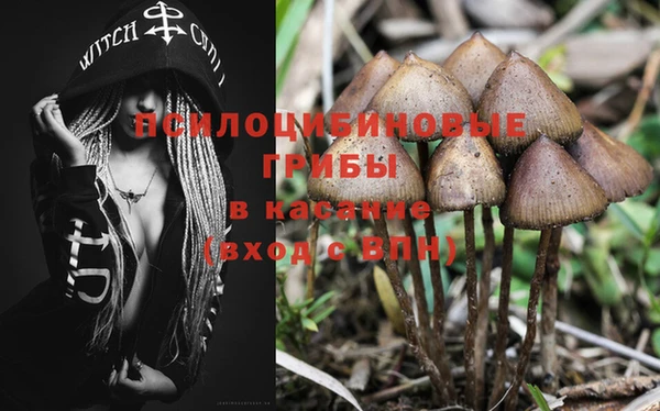 эйфоретик Алзамай